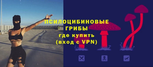 таблы Алзамай