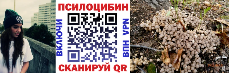 Галлюциногенные грибы Psilocybe  Чёрмоз 